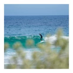 Planche En Mousse Log Dog 9.0" Ocean & Earth - Blue -Aqua Zone Soldes planche en mousse log dog 90 ocean earth blue 2